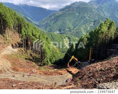 A scene of clear-cutting in the forestry industry with mountains in the background. A scene of clear-cutting in the forestry industry with mountains in the background. 139973647