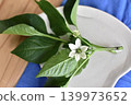 用甜椒花裝飾 139973652