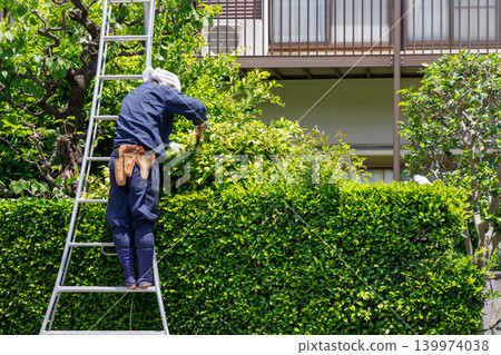 A gardener tending a hedge A gardener tending a hedge 139974038