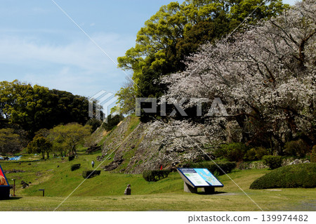 名古屋城遺址是佐賀縣的歷史旅遊景點,如今櫻花盛開,春意盎然,遊客絡繹不絕。 名古屋城遺址是佐賀縣的歷史旅遊景點,如今櫻花盛開,春意盎然,遊客絡繹不絕。 139974482