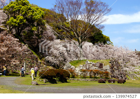 名古屋城遺址是佐賀縣的歷史旅遊景點,如今櫻花盛開,春意盎然,遊客絡繹不絕。 名古屋城遺址是佐賀縣的歷史旅遊景點,如今櫻花盛開,春意盎然,遊客絡繹不絕。 139974527