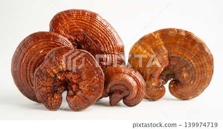 Lingzhi or Reishi mushroom isolated on white background. Lingzhi or Reishi mushroom isolated on white background. 139974719