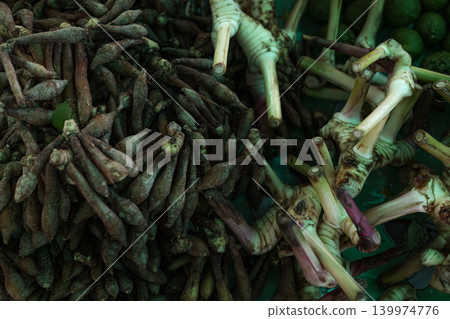 Galangal And Fingerroot On Fresh Vegetable Stall. Close up of traditional asian herbal roots displayed at local grocery market, perfect for thai cuisine or natural medicine themes. Galangal And Fingerroot On Fresh Vegetable Stall. Close up of traditional asian herbal roots displayed at local grocery market, perfect for thai cuisine or natural medicine themes. 139974776