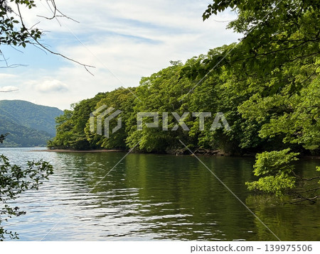 The lush greenery and reflections on the water's surface of Lake Ashi in Hakone The lush greenery and reflections on the water's surface of Lake Ashi in Hakone 139975506