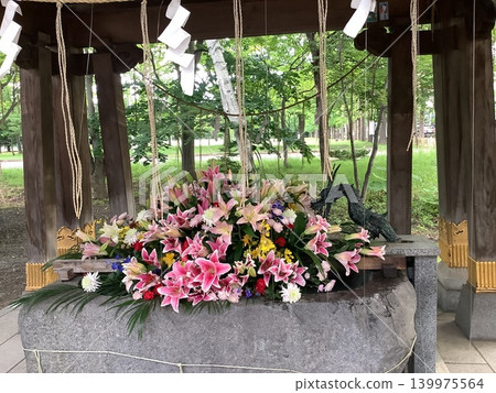 花水 139975564