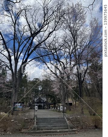 "Springtime shrine approach and torii gate in Hokkaido" 139975645
