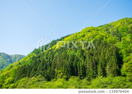 從福福地溫泉町（岐阜縣高山市奧飛驒溫泉鄉）眺望鬱鬱蔥蔥的山脈 139976404