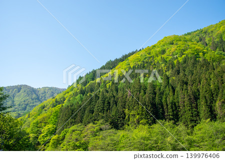從福福地溫泉町（岐阜縣高山市奧飛驒溫泉鄉）眺望鬱鬱蔥蔥的山脈 139976406