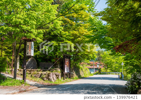 Fukuchi Onsen hot spring resort town during the fresh green season (Okuhida Onsenkyo, Takayama City, Gifu Prefecture) Fukuchi Onsen hot spring resort town during the fresh green season (Okuhida Onsenkyo, Takayama City, Gifu Prefecture) 139976421