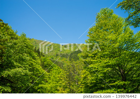 View of the lush green mountain range from Fukuchi Onsen town (Okuhida Onsenkyo, Takayama City, Gifu Prefecture) 139976442