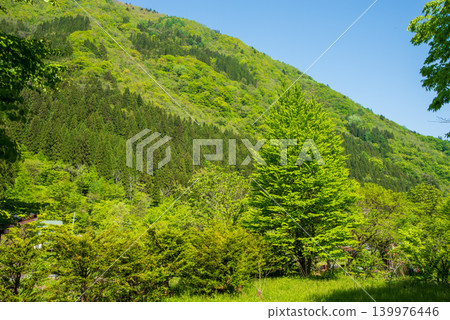 View of the lush green mountain range from Fukuchi Onsen town (Okuhida Onsenkyo, Takayama City, Gifu Prefecture) View of the lush green mountain range from Fukuchi Onsen town (Okuhida Onsenkyo, Takayama City, Gifu Prefecture) 139976446