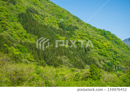 從福福地溫泉町（岐阜縣高山市奧飛驒溫泉鄉）眺望鬱鬱蔥蔥的山脈 139976452