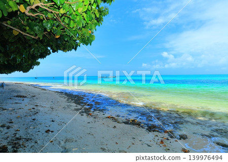 [Okinawa Prefecture] Kaiji Beach on Taketomi Island under a clear sky 139976494