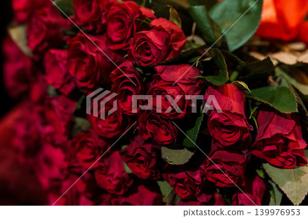 Close up of deep red rose bouquet with lush green leaves in dramatic cinematic lighting Close up of deep red rose bouquet with lush green leaves in dramatic cinematic lighting 139976953