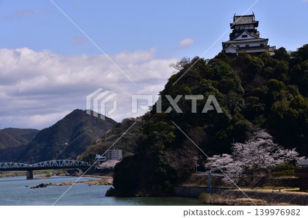 日本愛知縣犬山市。春日犬山城，櫻花盛開。湛藍的天空，雄偉的城堡天守閣。木曾川、犬山橋及週邊城市景觀盡收眼底。 139976982