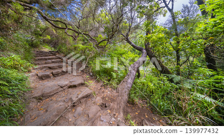 Levada das 24 Fontes, Levada Do Risco, Madeira, Portugal Levada das 24 Fontes, Levada Do Risco, Madeira, Portugal 139977432