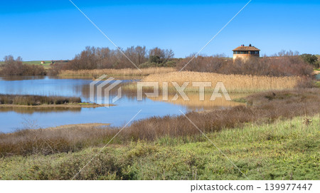 Lagunas de Villafafila Natural Reserve, Spain Lagunas de Villafafila Natural Reserve, Spain 139977447
