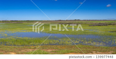 Lagunas de Villafafila Natural Reserve, Spain Lagunas de Villafafila Natural Reserve, Spain 139977448