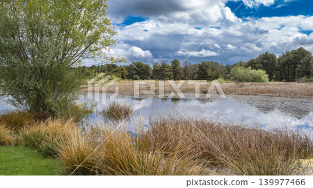 Lagunas de Cantalejo Special Protection Area, Spain 139977466