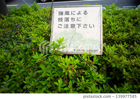Beware of falling branches in strong winds. Beware of falling branches in strong winds. 139977585