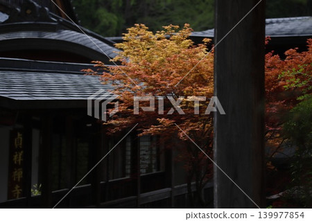 長野縣佐久市的貞勝寺美麗的庭院 長野縣佐久市的貞勝寺美麗的庭院 139977854