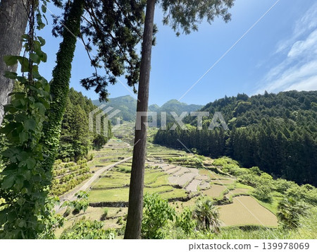 Rice terraces in Yotsuya Senmaida (Shinshiro City, Aichi Prefecture), adorned with a clear blue sky and fresh greenery on a sunny May day, immediately after rice planting. 139978069