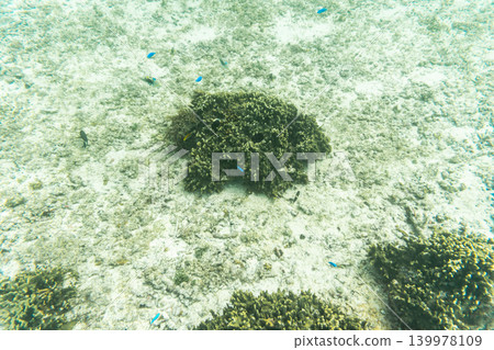 宮古島懷懷海灘清澈見底的海水和珊瑚礁 宮古島懷懷海灘清澈見底的海水和珊瑚礁 139978109