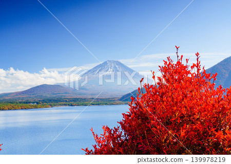Mount Fuji and autumn foliage as seen from Lake Motosu: A spectacular view of the Fuji Five Lakes in autumn. Mount Fuji and autumn foliage as seen from Lake Motosu: A spectacular view of the Fuji Five Lakes in autumn. 139978219