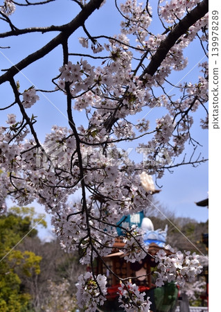日本愛知縣犬山市:春季犬山祭,櫻花盛開;花車聚集在犬山城廣場前;機械木偶落成前的場景。 日本愛知縣犬山市:春季犬山祭,櫻花盛開;花車聚集在犬山城廣場前;機械木偶落成前的場景。 139978289