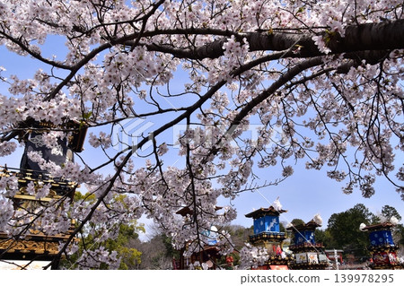 Inuyama City, Aichi Prefecture, Japan: Springtime Inuyama Festival and cherry blossoms in full bloom; floats gathered in front of Inuyama Castle Square; a scene before the dedication of the mechanical puppets. Inuyama City, Aichi Prefecture, Japan: Springtime Inuyama Festival and cherry blossoms in full bloom; floats gathered in front of Inuyama Castle Square; a scene before the dedication of the mechanical puppets. 139978295