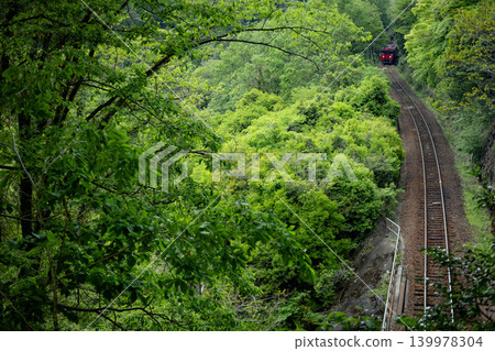 A red local train runs through a forest of fresh green leaves. A red local train runs through a forest of fresh green leaves. 139978304