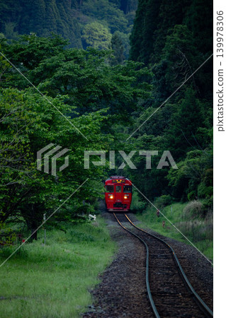 一列紅色的本地火車在暮色中穿行，周圍環繞著翠綠的植物。 139978306