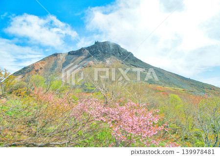 栃木縣那須郡那鬚町的茶臼岳和山櫻 栃木縣那須郡那鬚町的茶臼岳和山櫻 139978481