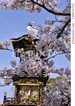 Inuyama City, Aichi Prefecture, Japan: Springtime Inuyama Festival and cherry blossoms in full bloom; floats gathered in front of Inuyama Castle Square; a scene before the dedication of the mechanical puppets. Inuyama City, Aichi Prefecture, Japan: Springtime Inuyama Festival and cherry blossoms in full bloom; floats gathered in front of Inuyama Castle Square; a scene before the dedication of the mechanical puppets. 139978733