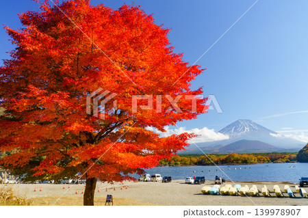 從精進湖眺望富士山和秋葉:秋季富士五湖的壯麗景色。 從精進湖眺望富士山和秋葉:秋季富士五湖的壯麗景色。 139978907