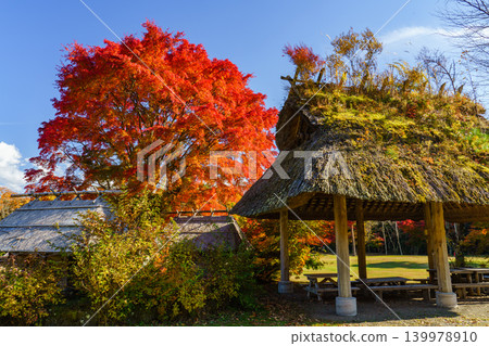 Traditional Japanese houses and vibrant autumn leaves: A beautiful autumn landscape. Traditional Japanese houses and vibrant autumn leaves: A beautiful autumn landscape. 139978910