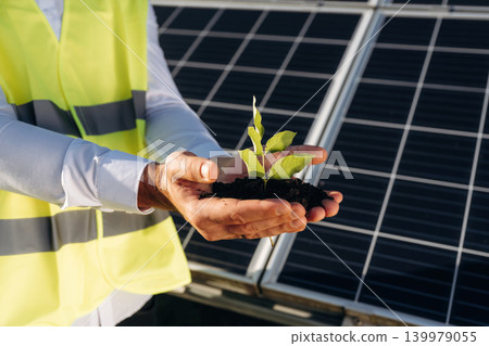 Fresh plant sprout holding in hands. Female solar engineer inspecting photovoltaic panels during outdoor maintenance work Fresh plant sprout holding in hands. Female solar engineer inspecting photovoltaic panels during outdoor maintenance work 139979055
