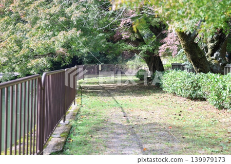 Path surrounded by trees Path surrounded by trees 139979173