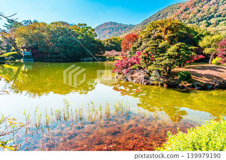 【特別風景名勝】栗林庭園:晚秋美景-軍鴨池、紅葉與冠鴨閣(第四部)-香川縣高松市 【特別風景名勝】栗林庭園:晚秋美景-軍鴨池、紅葉與冠鴨閣(第四部)-香川縣高松市 139979190