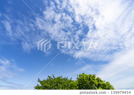 藍天和雲彩和樹 藍天和雲彩和樹 139979454