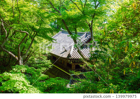 Yamazaki Shōten, surrounded by fresh greenery. Yamazaki Shōten, surrounded by fresh greenery. 139979975