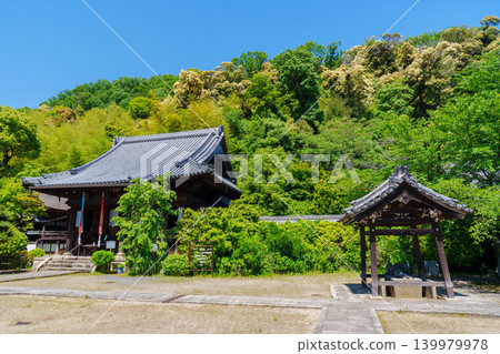 山崎商店,四周綠樹環繞。 山崎商店,四周綠樹環繞。 139979978