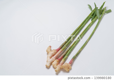 葉姜 139980180