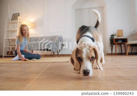 Curious animal is walking and looking. Girl is with her dog on the floor in a cozy living room Curious animal is walking and looking. Girl is with her dog on the floor in a cozy living room 139980243