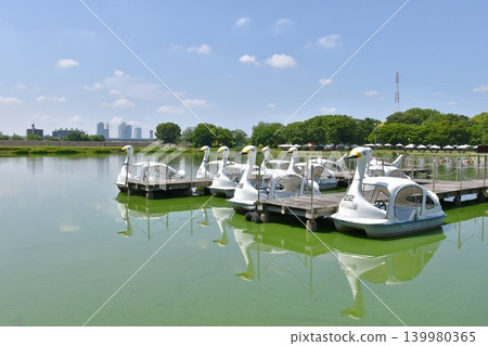 Shonai Green Park's boating pond and swan boats Shonai Green Park's boating pond and swan boats 139980365