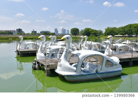 Shonai Green Park's boating pond and swan boats 139980366