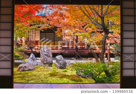 秋季京都建仁寺紫根庭園 139980538