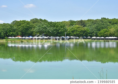 莊內綠地船池和野餐區 莊內綠地船池和野餐區 139980585