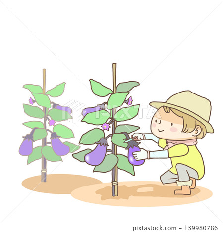 Girls harvesting eggplants Girls harvesting eggplants 139980786