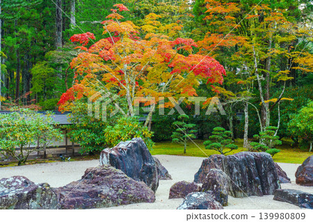Mount Koya: Autumn at Kongobu-ji Temple's Banryu Garden Mount Koya: Autumn at Kongobu-ji Temple's Banryu Garden 139980809